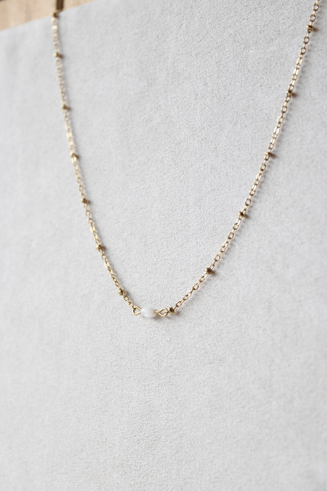 Collier de dos - Coquillage